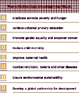 MDGs