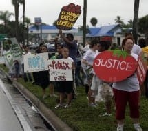 tomato-protest